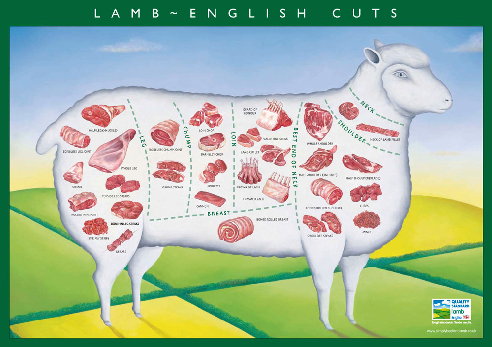 Lamb cuts available from a sheep carcass